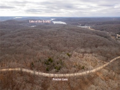 Nearly 80 acres of Lake of the Ozarks land in Gravois Mills, MO - photo 39