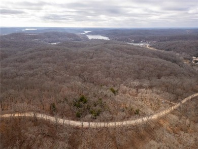 Nearly 80 acres of Lake of the Ozarks land in Gravois Mills, MO - photo 40