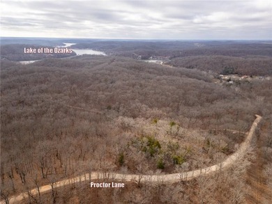 Nearly 80 acres of Lake of the Ozarks land in Gravois Mills, MO - photo 41