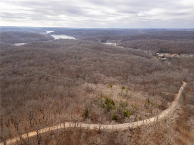 Nearly 80 acres of Lake of the Ozarks land in Gravois Mills, MO - photo 42