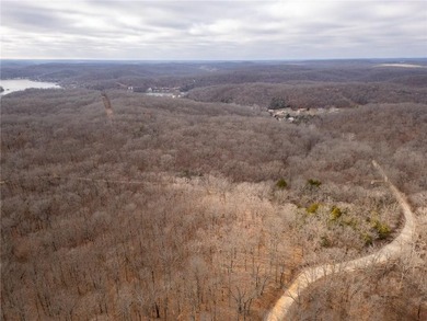 Nearly 80 acres of Lake of the Ozarks land in Gravois Mills, MO - photo 43