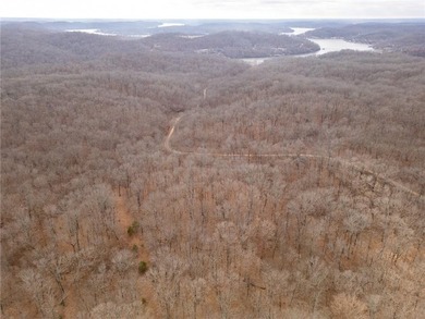 Nearly 80 acres of Lake of the Ozarks land in Gravois Mills, MO - photo 45