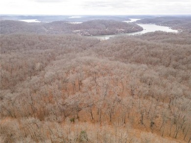 Nearly 80 acres of Lake of the Ozarks land in Gravois Mills, MO - photo 48
