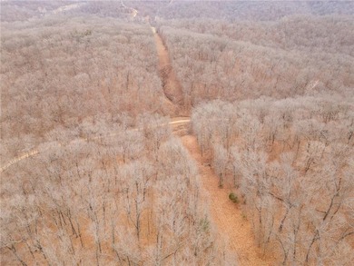 Nearly 80 acres of Lake of the Ozarks land in Gravois Mills, MO - photo 49