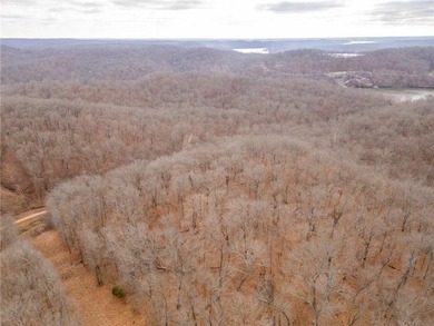 Nearly 80 acres of Lake of the Ozarks land in Gravois Mills, MO - photo 50