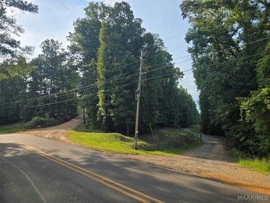 Discover 10.42+/- acres of Alabama beauty at 124 Ashwood Drive - photo 3