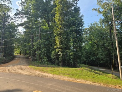 Discover 10.42+/- acres of Alabama beauty at 124 Ashwood Drive - photo 4