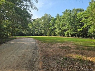 Discover 10.42+/- acres of Alabama beauty at 124 Ashwood Drive - photo 5