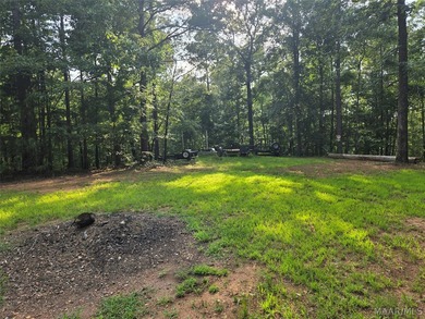 Discover 10.42+/- acres of Alabama beauty at 124 Ashwood Drive - photo 6