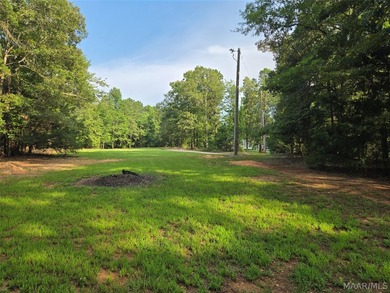 Discover 10.42+/- acres of Alabama beauty at 124 Ashwood Drive - photo 7