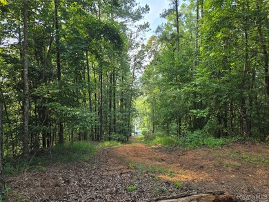 Discover 10.42+/- acres of Alabama beauty at 124 Ashwood Drive - photo 8
