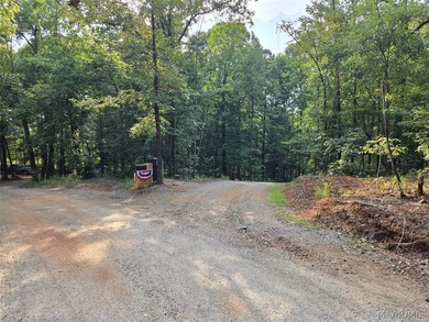 Discover 10.42+/- acres of Alabama beauty at 124 Ashwood Drive - photo 9
