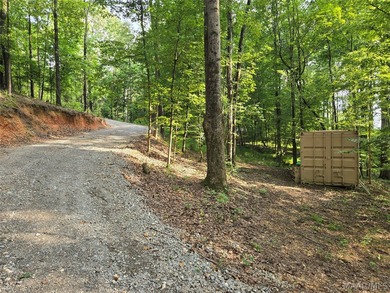Discover 10.42+/- acres of Alabama beauty at 124 Ashwood Drive - photo 10