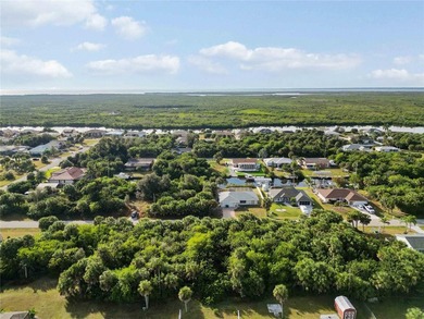 Discover an excellent opportunity to own an inland vacant parcel - photo 15