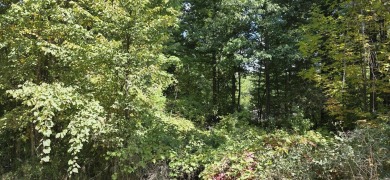 (private lake, pond, creek) Lot For Sale in Gladwin Michigan