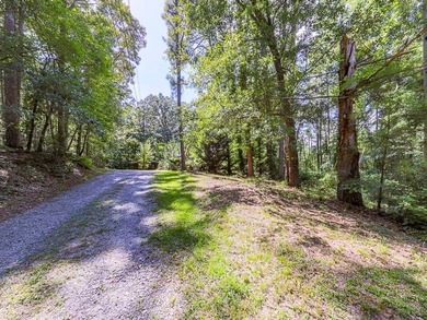 Bartow County have I got a GEM for you! Take a look at this 3 - photo 42