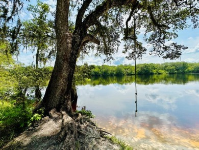 Lake Lot For Sale in Cross City, Florida