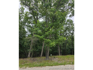 Fabulous building lot in the new Ridge Crest subdivision in the - photo 3