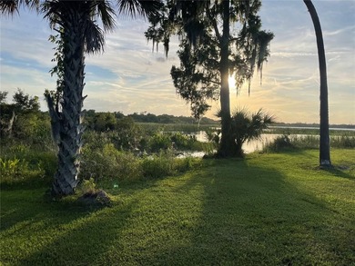 20 ACRES  OF OLD FLORIDA !!!  TOTALLY SECLUDED WITH LAKE ACCESS - photo 13