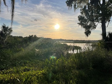 20 ACRES  OF OLD FLORIDA !!!  TOTALLY SECLUDED WITH LAKE ACCESS - photo 14