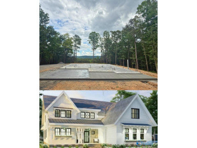 Lake Home For Sale in Guntersville, Alabama