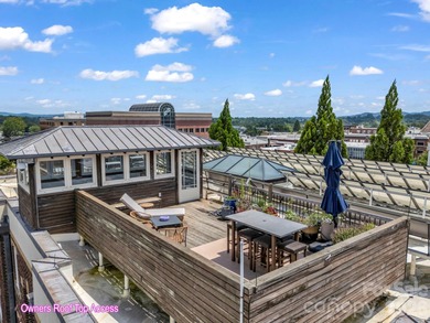 Timeless in design and thoughtfully reimagined for modern living