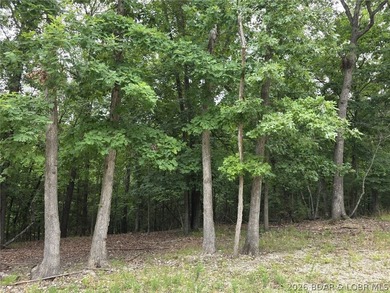 Fabulous building lot in the new Ridge Crest subdivision in the - photo 4