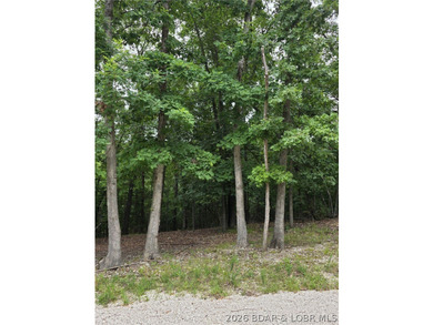 Fabulous building lot in the new Ridge Crest subdivision in the - photo 5