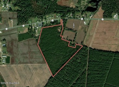 (private lake, pond, coastal) Acreage Sale Pending in Trenton North Carolina
