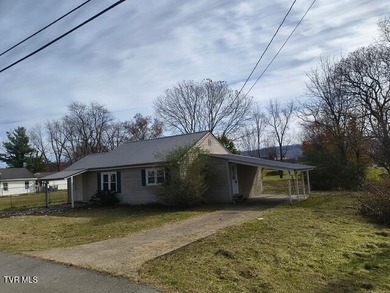 Holston River - Hawkins County Home For Sale in Mount Carmel Tennessee