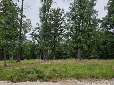 Fabulous building lot in the new Ridge Crest subdivision in the - photo 4