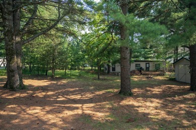 Great location close to Castle Rock Lake - Wisconsin's 4th - photo 11