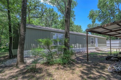 Lake Home For Sale in Sadler, Texas