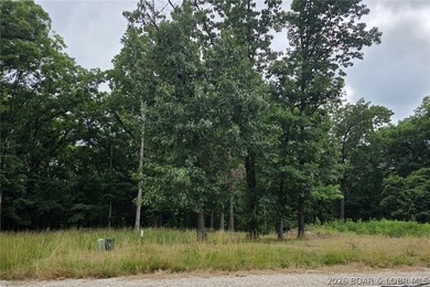 Fabulous building lot in the new Ridge Crest subdivision in the - photo 2