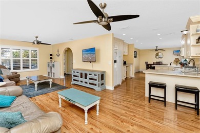 The only elevated waterfront home available in Indian Rocks - photo 4