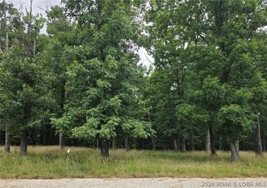 Fabulous building lot in the new Ridge Crest subdivision in the - photo 2