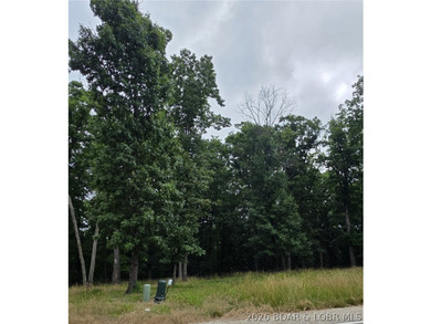 Fabulous building lot in the new Ridge Crest subdivision in the - photo 3