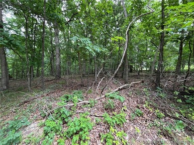This wooded lot is flat/gentle and is located in a wonderful - photo 6