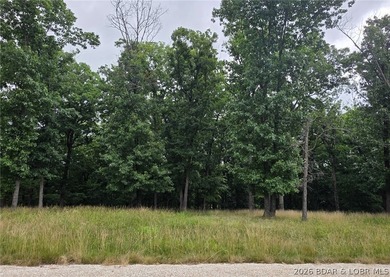 Fabulous building lot in the new Ridge Crest subdivision in the - photo 2