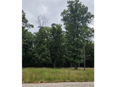 Fabulous building lot in the new Ridge Crest subdivision in the - photo 3