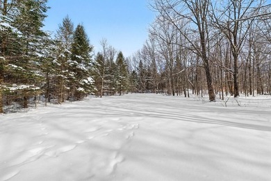 Rare opportunity in the City of Alden with 150 feet of shared - photo 42