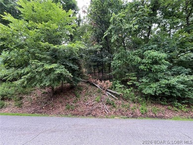 Ready for you to build your dream home overlooking the lakefront - photo 3