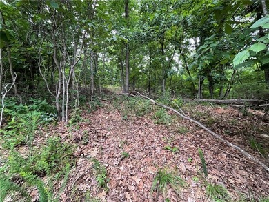 Ready for you to build your dream home overlooking the lakefront - photo 5