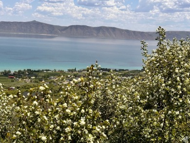 Lake Lot For Sale in Fish Haven, Idaho