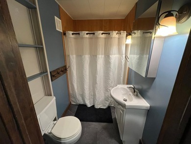 This 4BR, 2BA Rainy Lake property offers 100' of accessible - photo 20