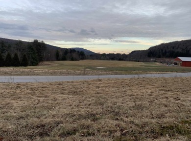 (private lake, pond, creek) Acreage For Sale in Brandon Vermont