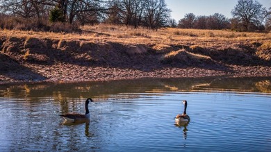 Located at 836 Reck Road in Wilson, Oklahoma, this 260+/- acre - photo 22