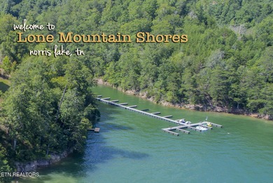 Oh the View Potential! If you're looking for Norris Lake & - photo 4