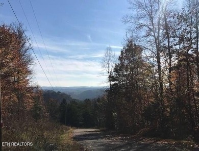 Oh the View Potential! If you're looking for Norris Lake & - photo 9