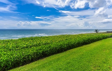 Recently renovated, fully furnished and turnkey 3 bedroom, 2 1/2 - photo 20